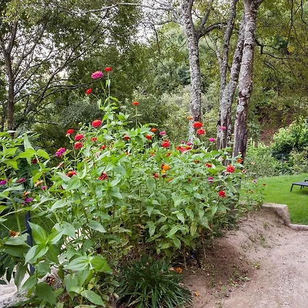 Quinta Da Bouca - Agroturismo Pacos de Gaiolo Room photo