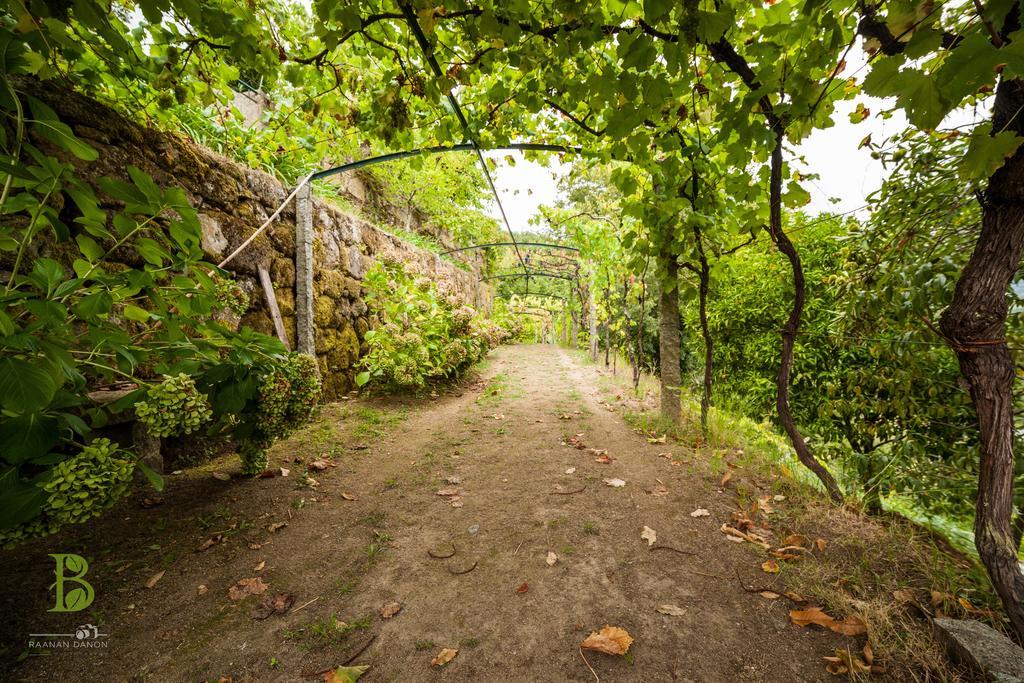 Farm stay Quinta Da Bouca - Pacos de Gaiolo