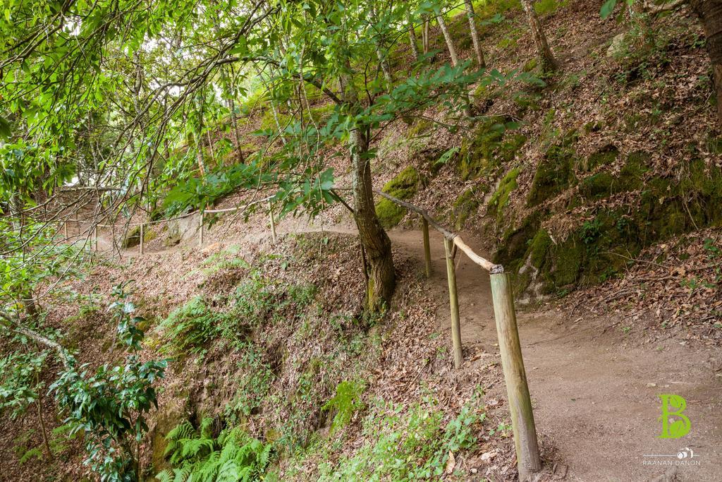 Quinta Da Bouca - Farm stay *
