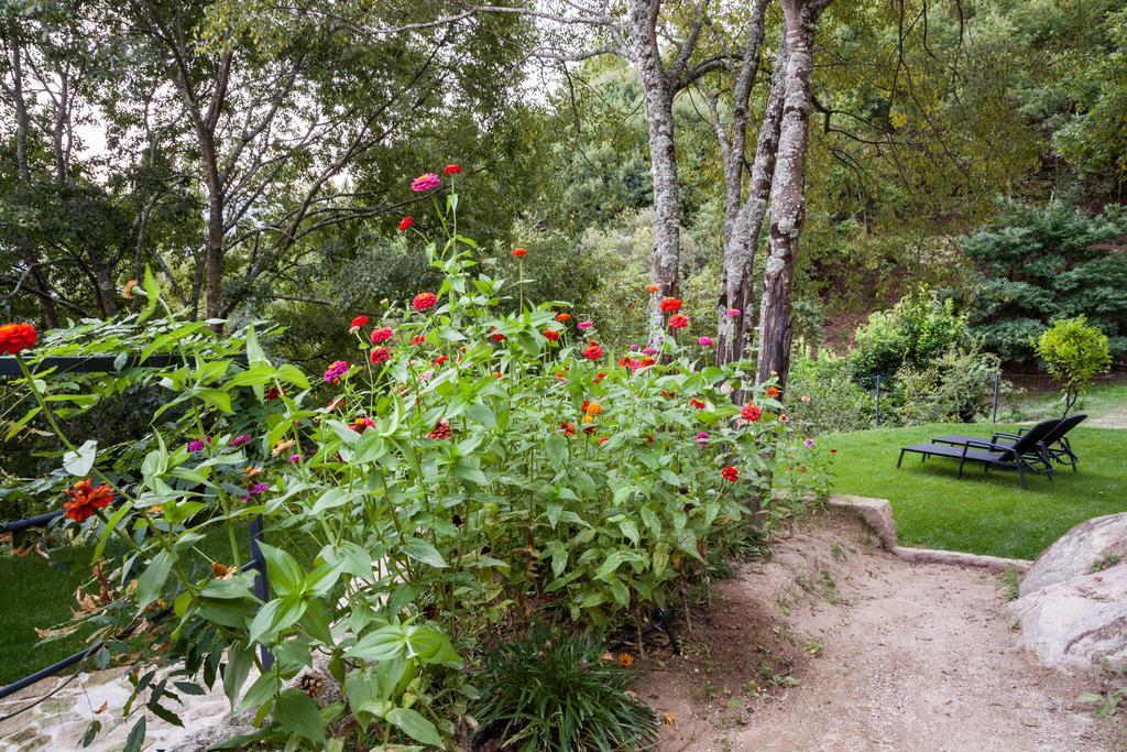 Quinta Da Bouca - * Pacos de Gaiolo
